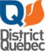 dq-logo-new